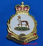 Military Badge #01